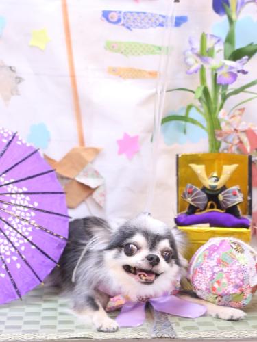 20240512クオンくん